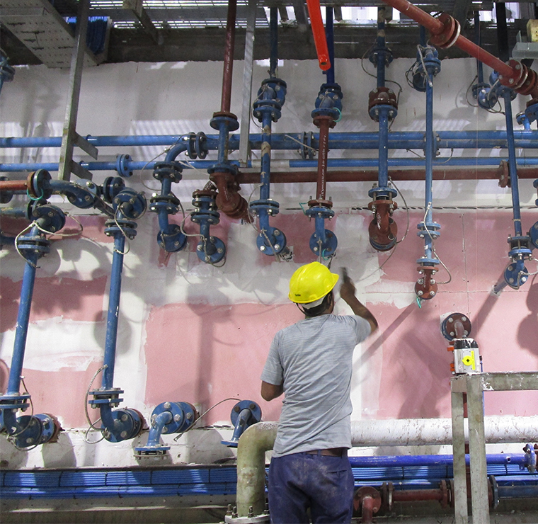 Deccan Fine Chemicals India Pvt Ltd, Goa